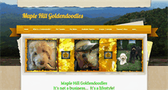 Desktop Screenshot of maplehillgoldendoodles.com