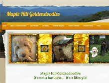 Tablet Screenshot of maplehillgoldendoodles.com